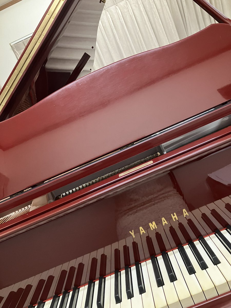 渡部 真理子 Mariko Watanabe tweet media