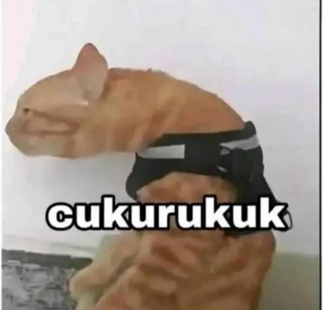 klaus127z's tweet image. cukurukuk james agenda