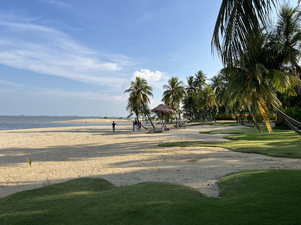 Thomas🛡️ tweet media