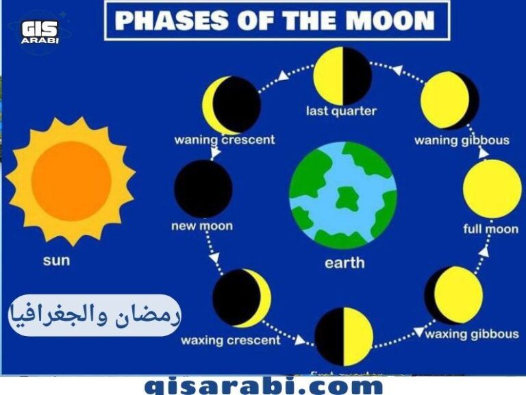 منصة البيئة tweet media