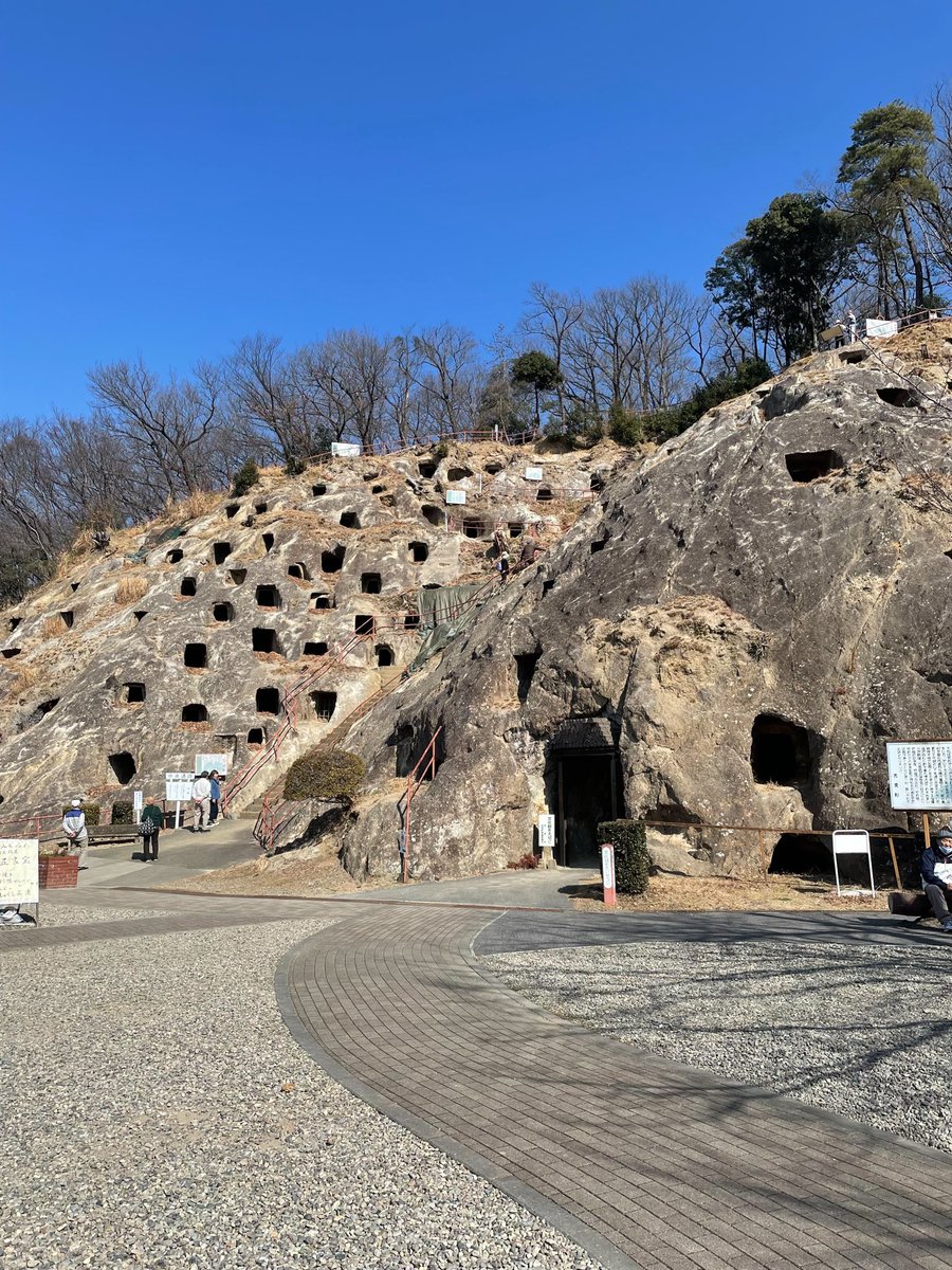 yokzsun's tweet photo. 無頓着で２月が苺最盛期と知りませんでした。知られてないけど苺産地の埼玉県央。で産直店そばに穴だらけの岩壁
吉見百穴と言う昔の地元名主達の墓ということですが、割と最近までコロボックル人の住居だと信じられてたらいし（ホンマ？）地域に歴史ありだ〜
#コロボックル人 https://t.co/jaUV6I3SwF