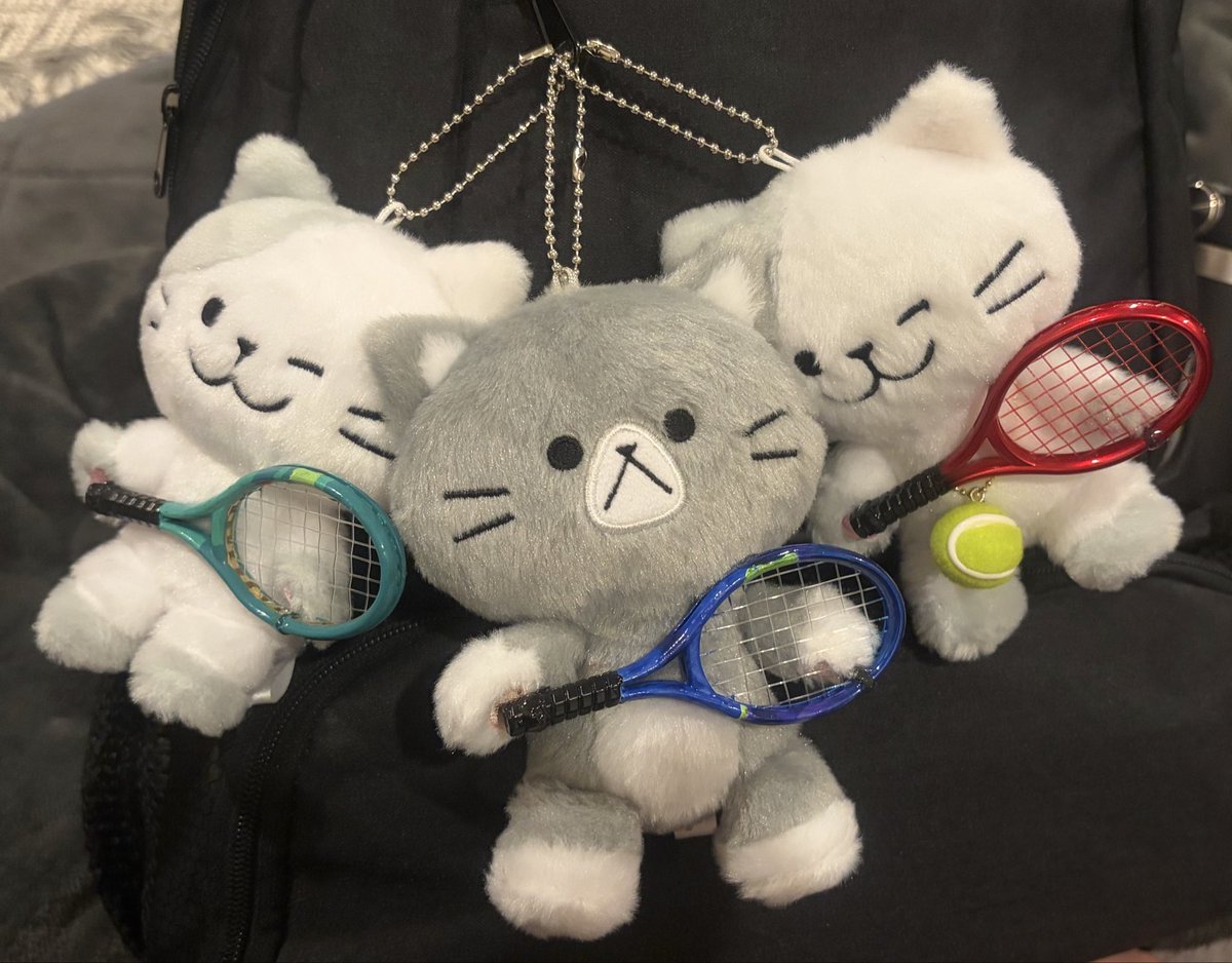 Tarshi17's tweet photo. YONNEX3兄弟
#猫 #テニス #YONNEX #ヨネックス #ラケット #VCORE #EZONE #PERSEPT https://t.co/gR7NUvrDiL