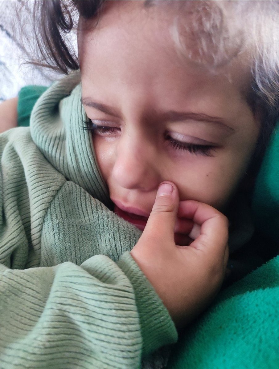 Tolen75502's tweet image. Please, she doesn't deserve to die.

needs milk, food, and treatment. Please.

needs milk, food, and treatment. Please.

needs milk, food, and treatment. Please.

Three replies—even dots—may disrupt the algorithm.

gofund.me/5a695682c
Chuffed 
chuffed.org/project/141230…