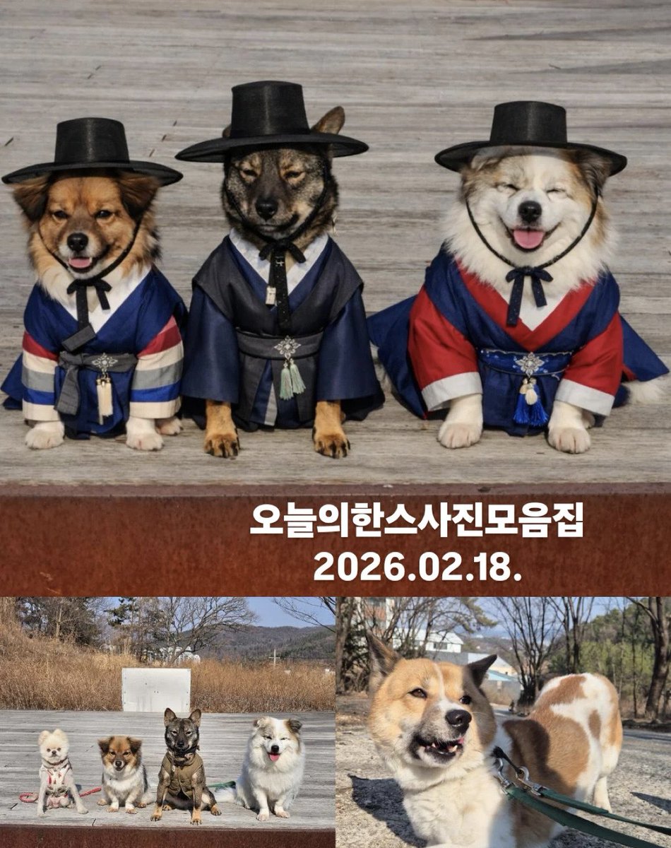 녹챠 아이스크림 tweet media