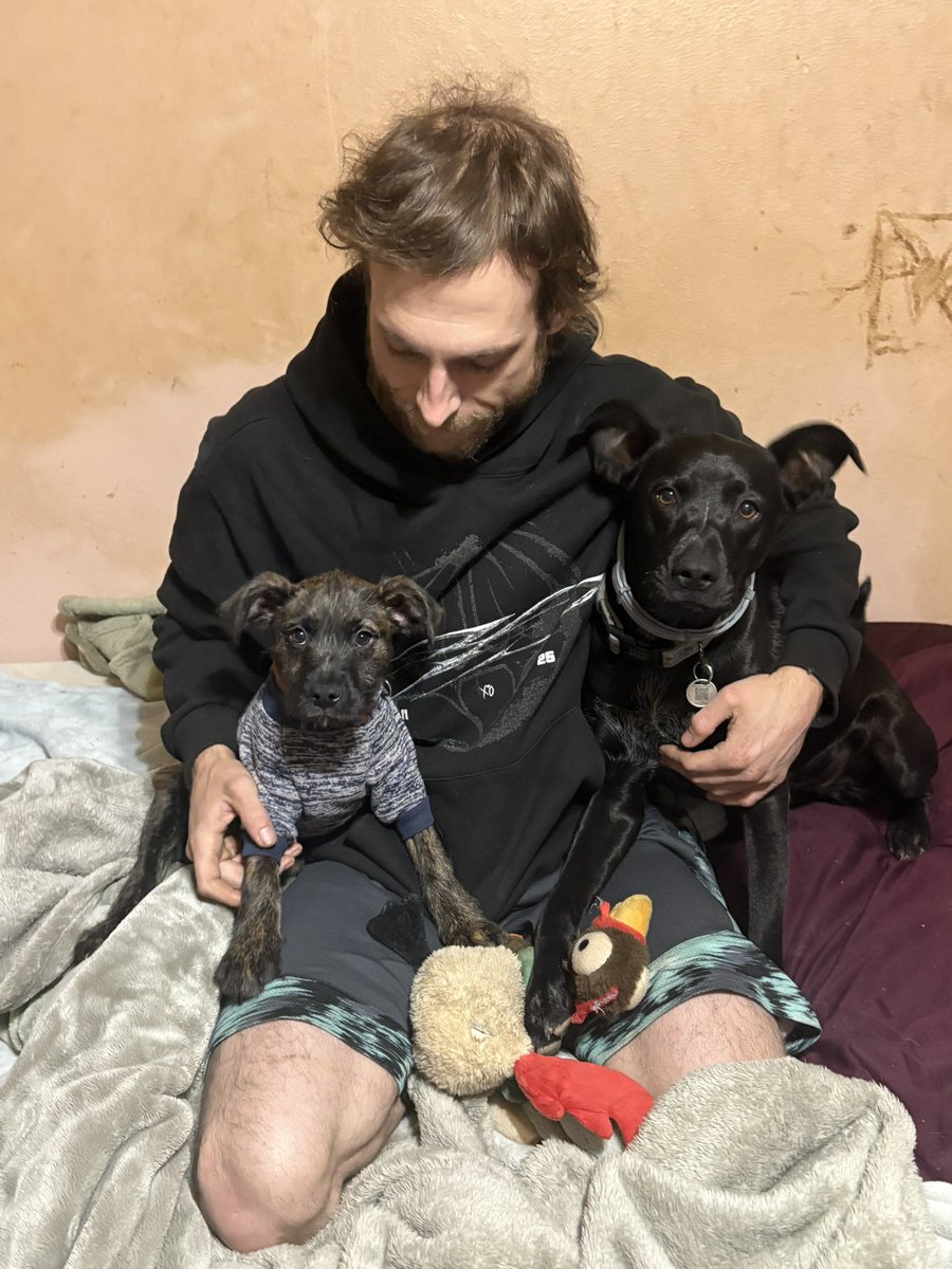 laney_bug09's tweet photo. Adopted over a year apart and they still somehow look like they could be siblings lmaoooo https://t.co/2Mg1lEOgvE