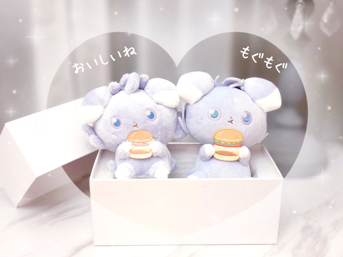 新たな双子が爆誕しました₍ᐞ•༝•ᐞ₎◞ ̑̑⟡.· 左はこの間の一番くじの