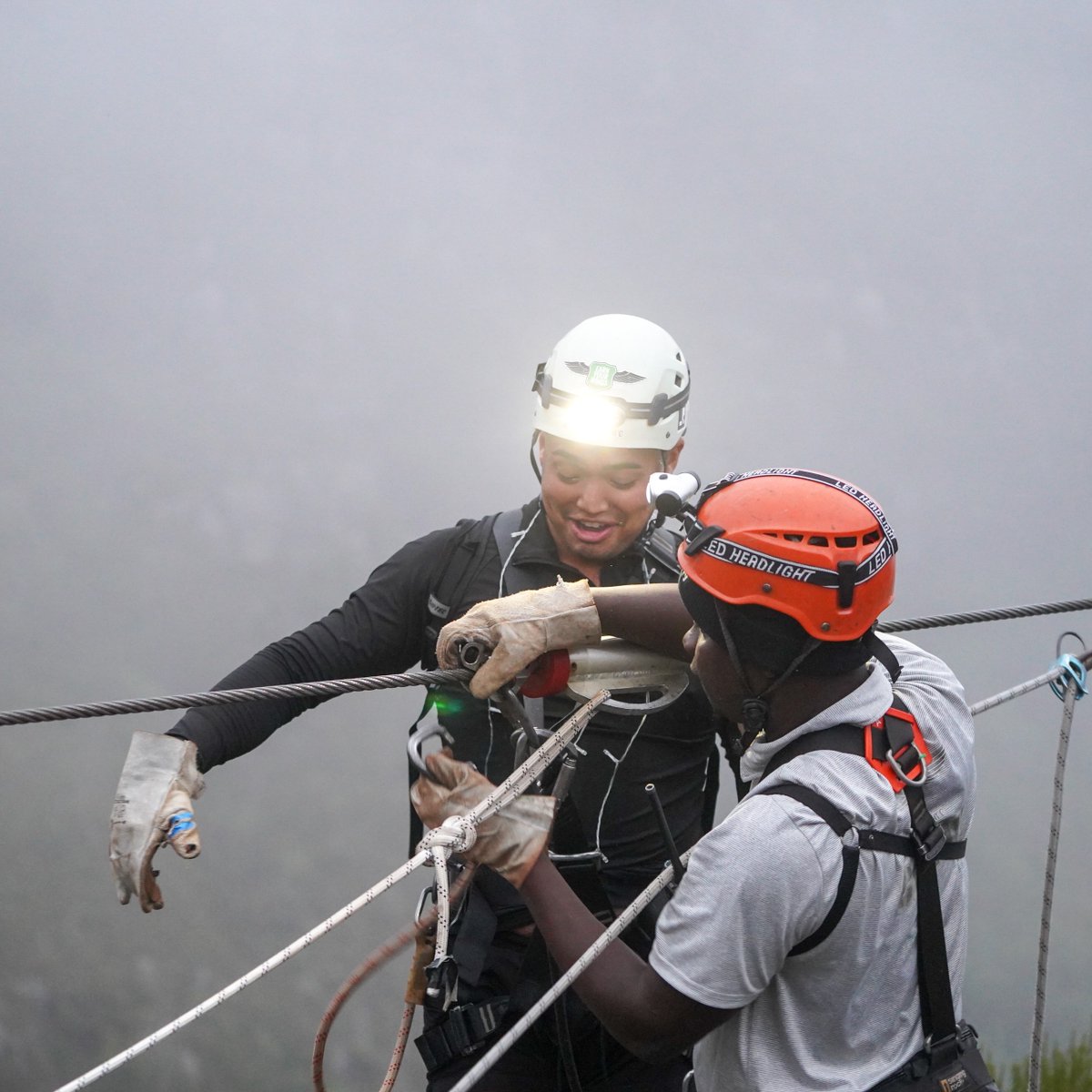 Cape Canopy Tour tweet media