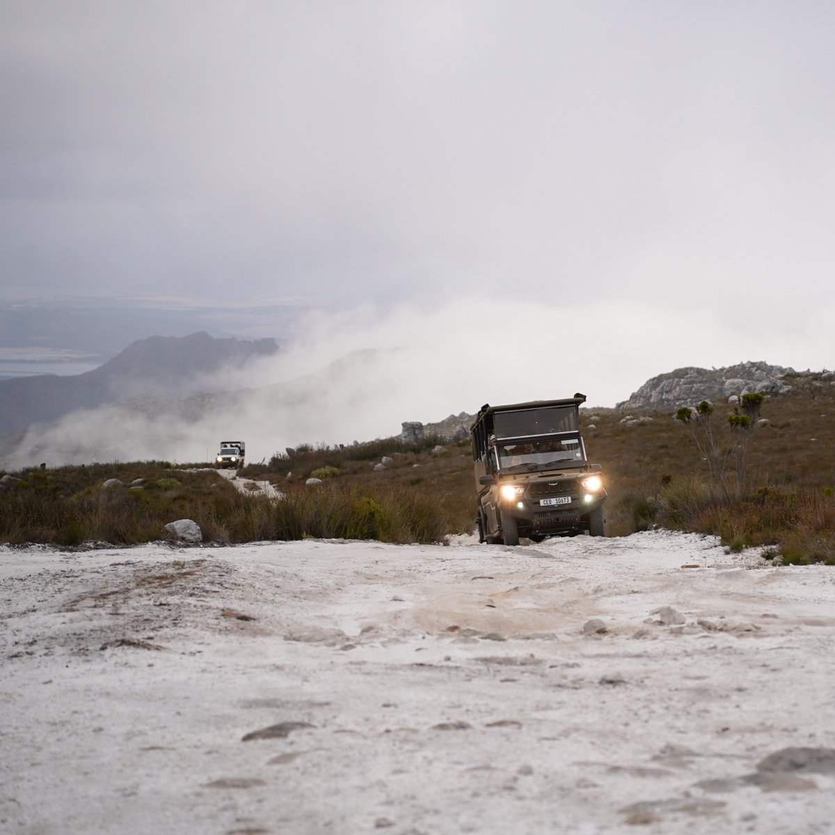 Cape Canopy Tour tweet media