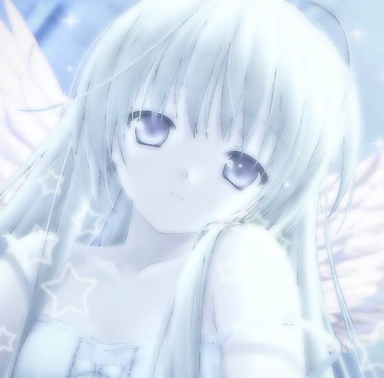 いすみ。 tweet media