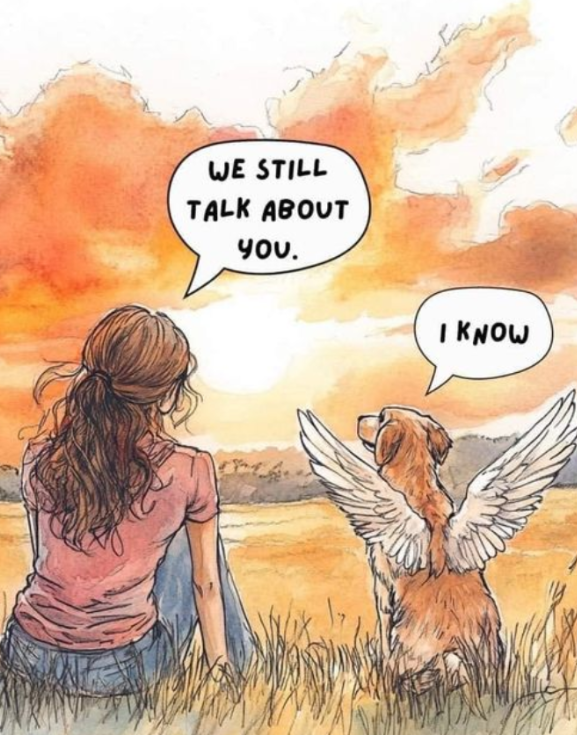 Tweets of Dogs tweet media