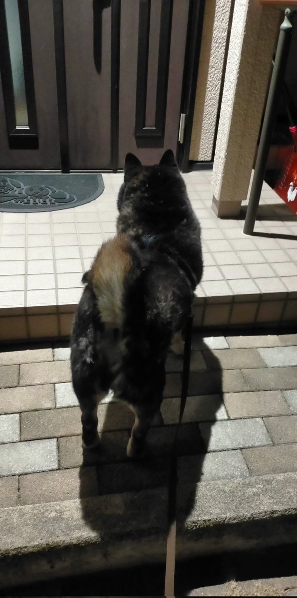 まめたろう (@mamemamemakmaki) / Posts / X