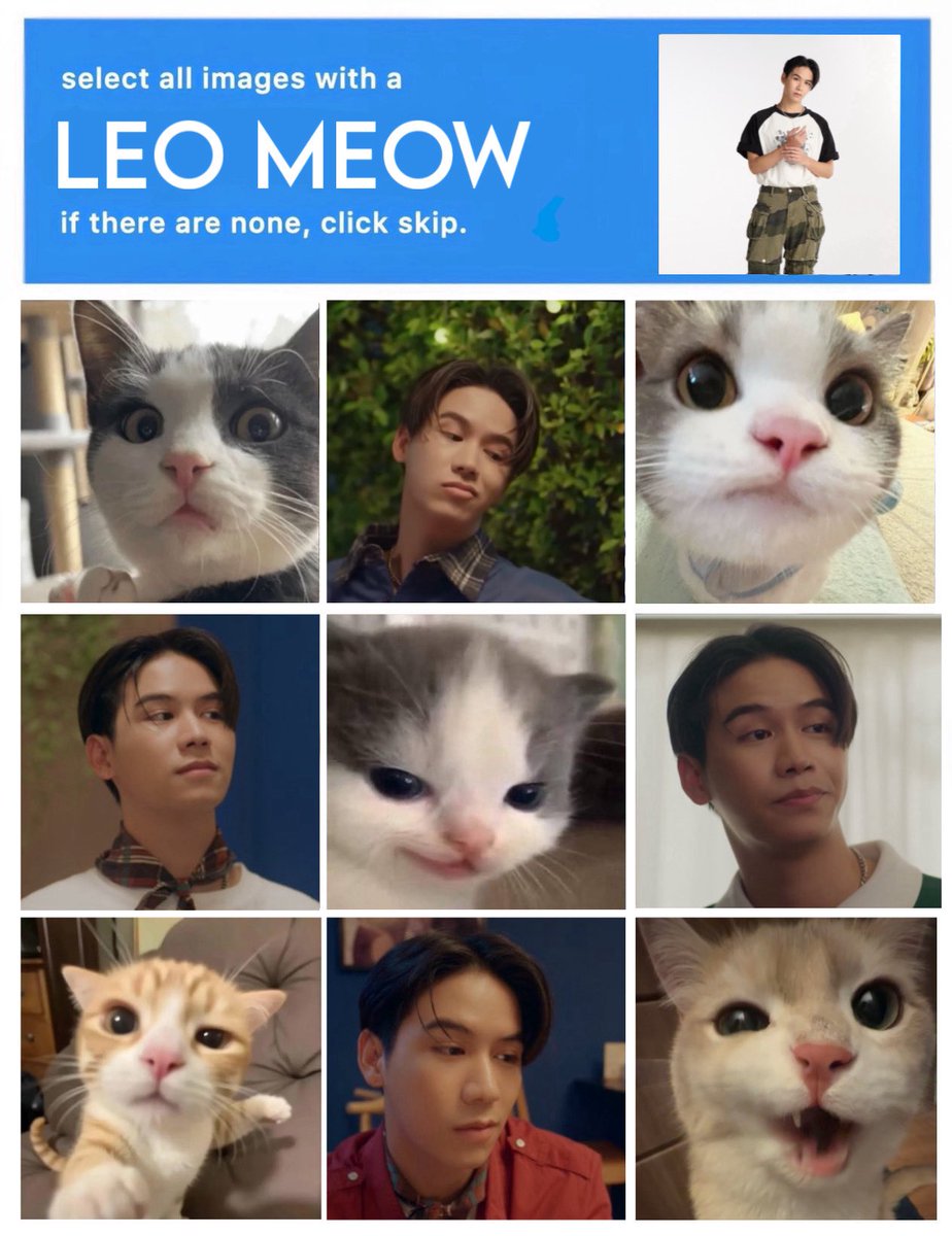 เลโอตัวจริงต้องหน้า😼งี้นะ

#CatForCashEP5
#satangks