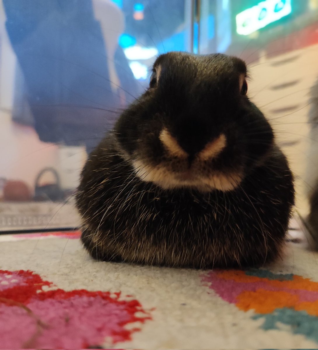 Jesmin (@_miiinzii_) on Twitter photo 