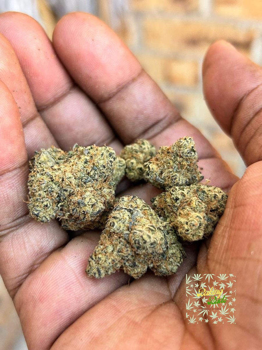 Baking_Buds's tweet photo. Mochi
Frozen Peach 
White Punts 
Blue Pave
#Mmemberville|
https://t.co/n0KekCNDcM https://t.co/FRAdQJNjS7