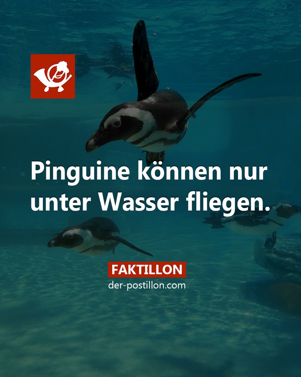 Die besten Fakten als Buch 👉 shopillon.de/faktillon/
Ehrliche Nachrichten auf 👉 der-postillon.com