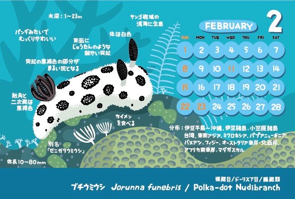 今月のカレンダー パンダみたいなカラーリングといえば、パンダツノ