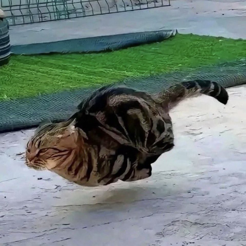 top gamer tweet media