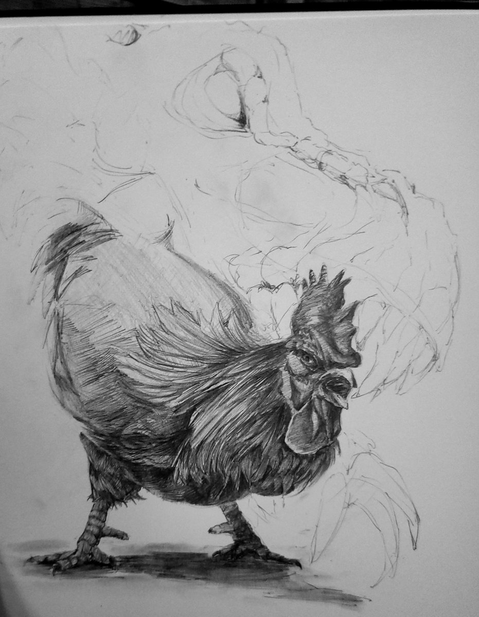 Chicken channeling his ancestors.