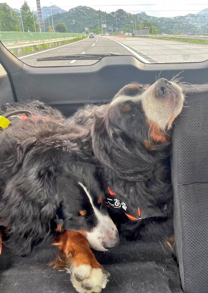 遊びに出発　　→　　　帰り道