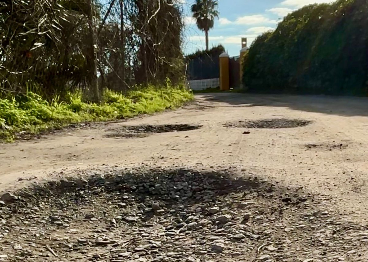 psoedehuelva's tweet photo. 🚨 CARTAYA

👉 @PsoeCartaya lleva al pleno una moción para exigir al alcalde del PP la intervención URGENTE en los caminos rurales que dan acceso a viviendas

🔴 IMPRACTICABLES 

👉Seguridad, transporte escolar y servicios básicos no pueden esperar

🗣️@pepa_bayo 
#Cartaya #Huelva https://t.co/BRexe0enwk