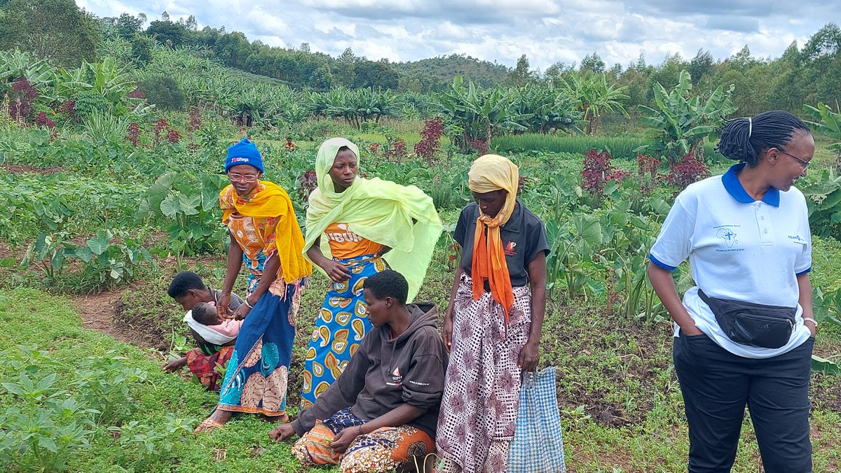 Team Hope Ireland tweet media