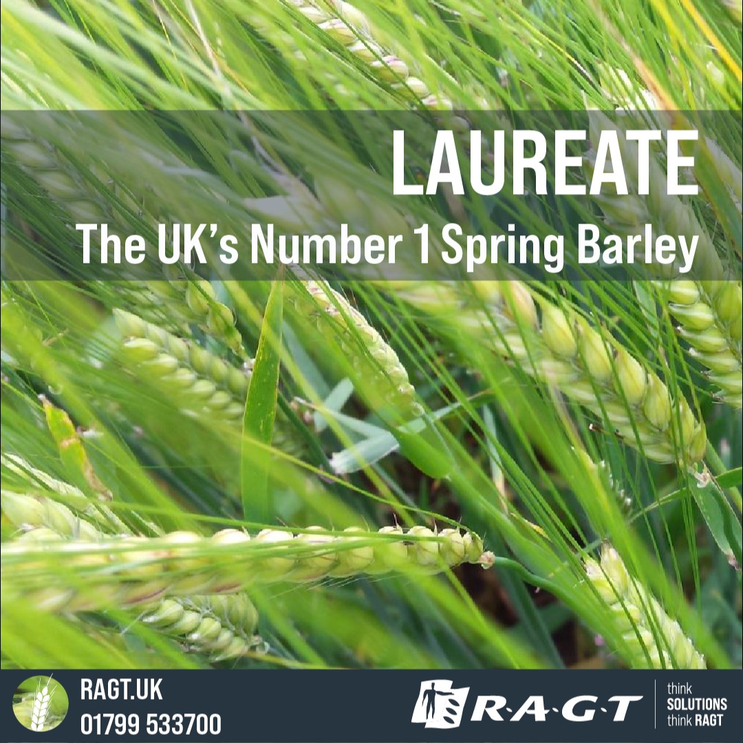 RAGT Seeds UK tweet media