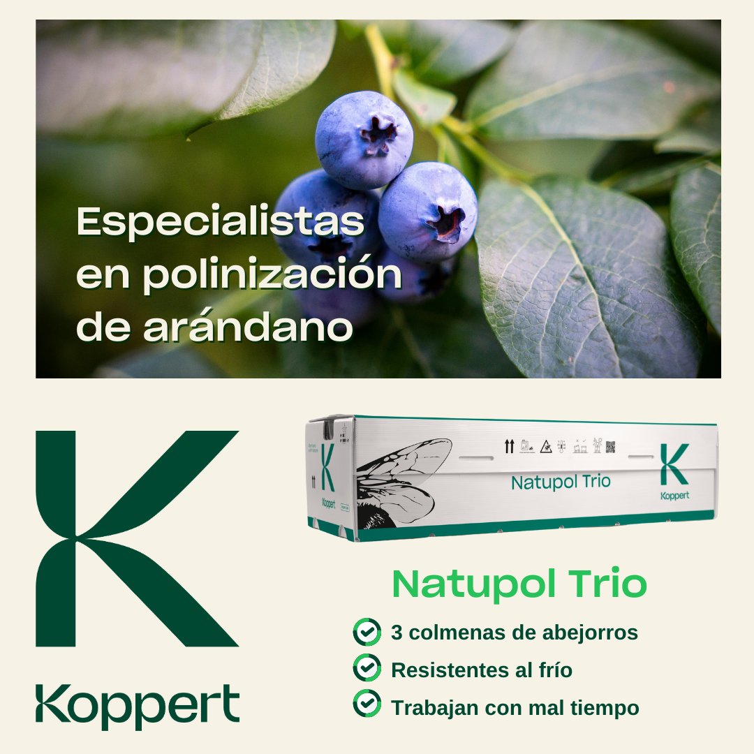 KOPPERT_ES tweet media