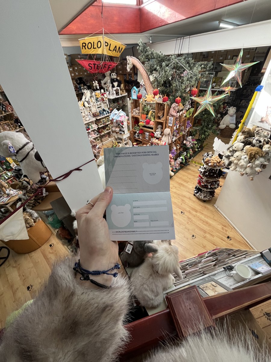 headbear tweet media