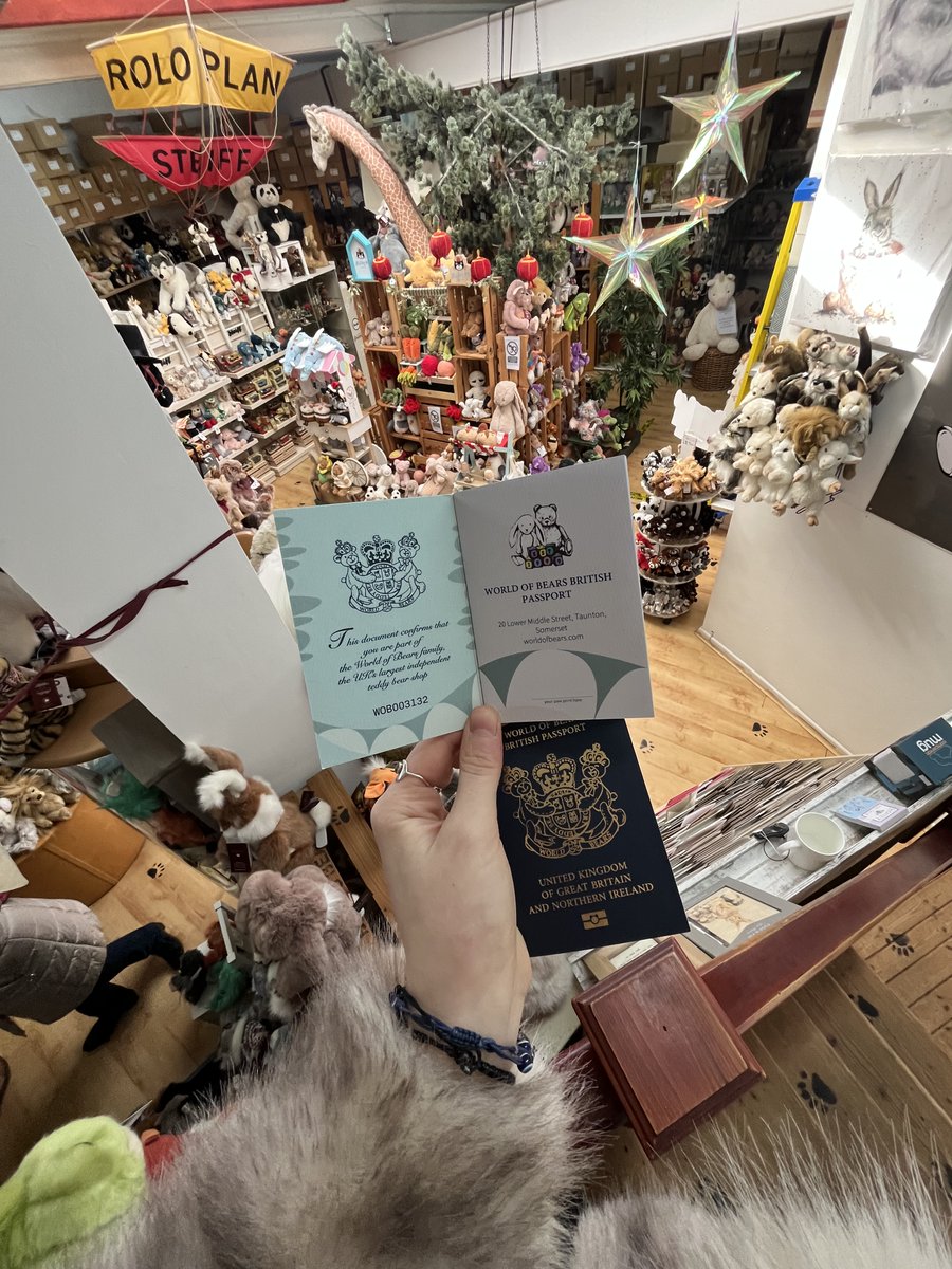 headbear tweet media