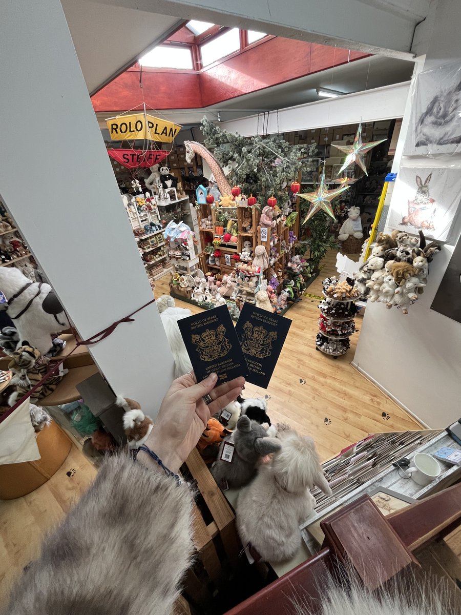 headbear tweet media