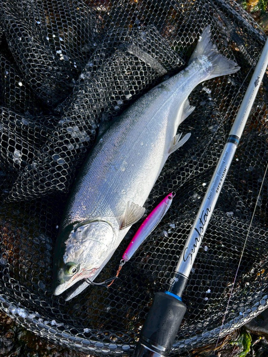 パームス (@palms_japan) / Posts / X