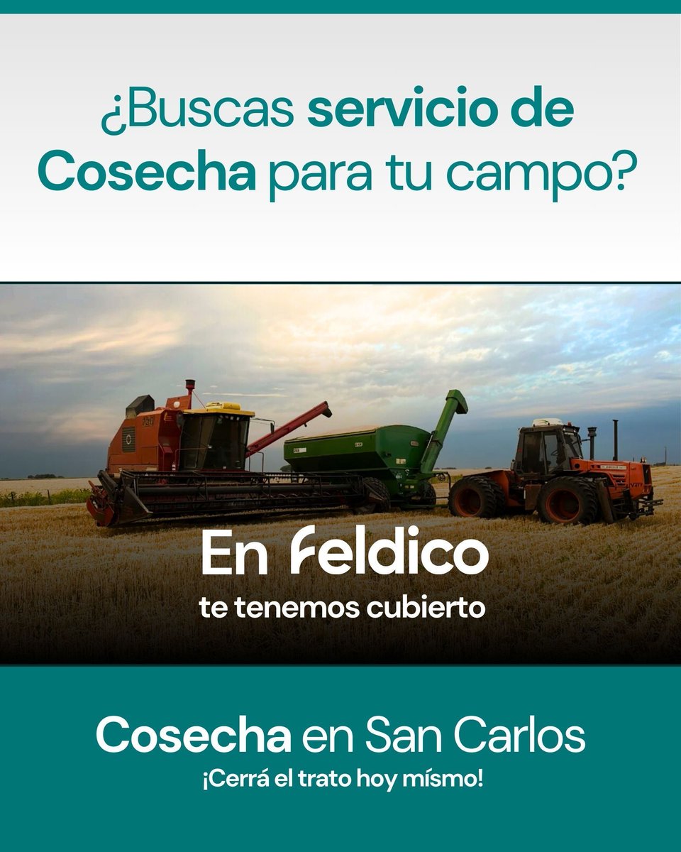 feldico's tweet image. 🌾 ¿Buscás Cosecha?
En Feldico te tenemos cubierto.

🚜 Don Roque RV150 (1997)
📍 San Carlos de Bolívar, Buenos Aires

Cerrá el trato hoy 👇
🔗 feldico.com/cosecha/san-ca…