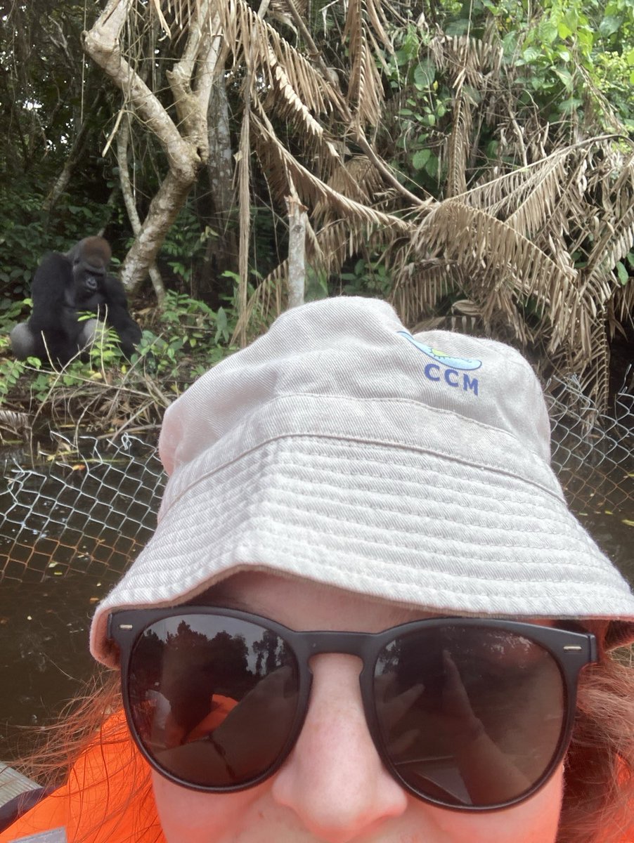 Centre for Clinical Microbiology UCL tweet media