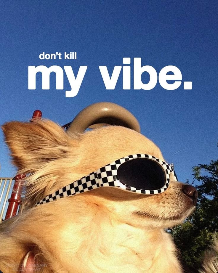 POSITIVITY (@positivitysaid) on Twitter photo 