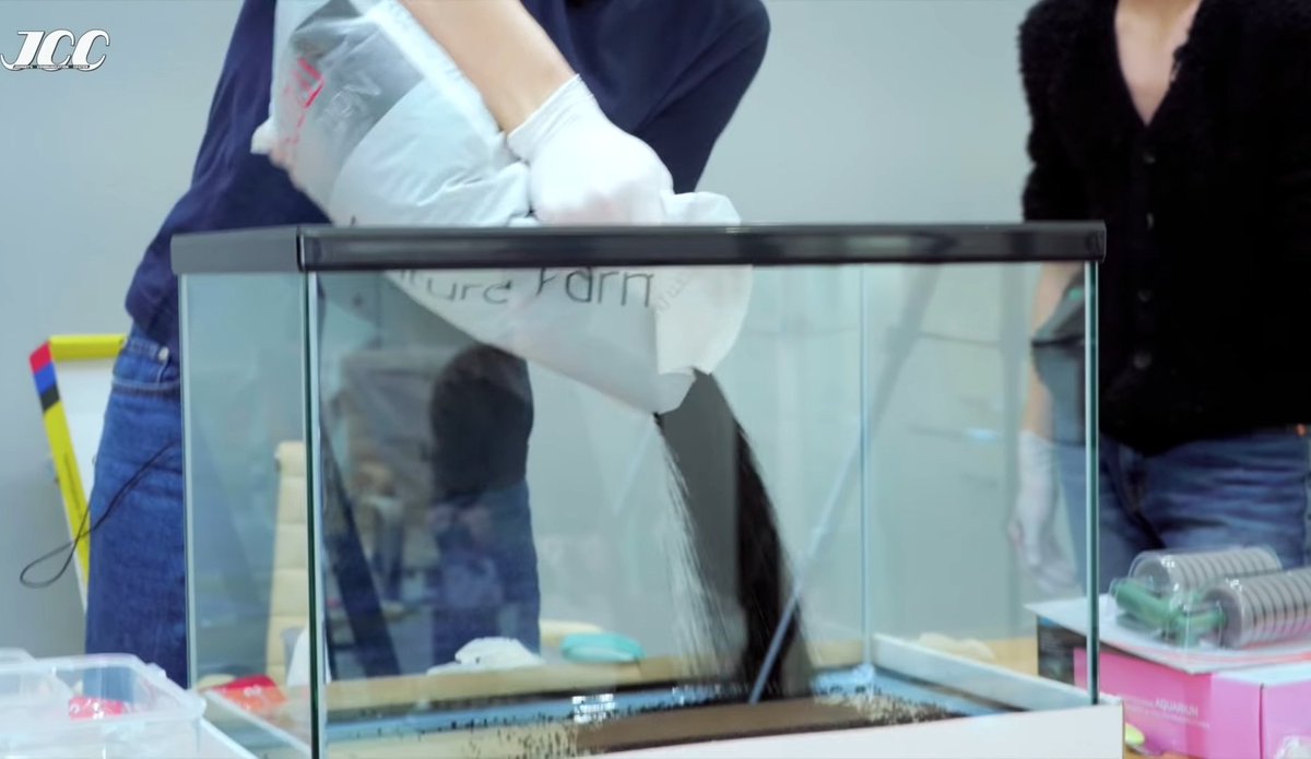 ไม่อยากจะแซวนะคะแต่ขอหน่อย ตอนชีเข้ารรประจำนะลำโพงก้ยกเอง ชุดเกือบสิบชุดก้ถือเองได้ พอออกมาปุ้บตู้ปลามันใหญ่ไปต้องเรียกจอห์นนี่มาช่วย เอาลูกเอา คอนเท้นจัดตู้ปลา ep.2 มาได้เรยคร่ะ