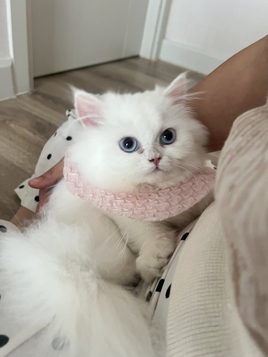 อกหักว่ะ ทำไมเทอต้องมีแม่