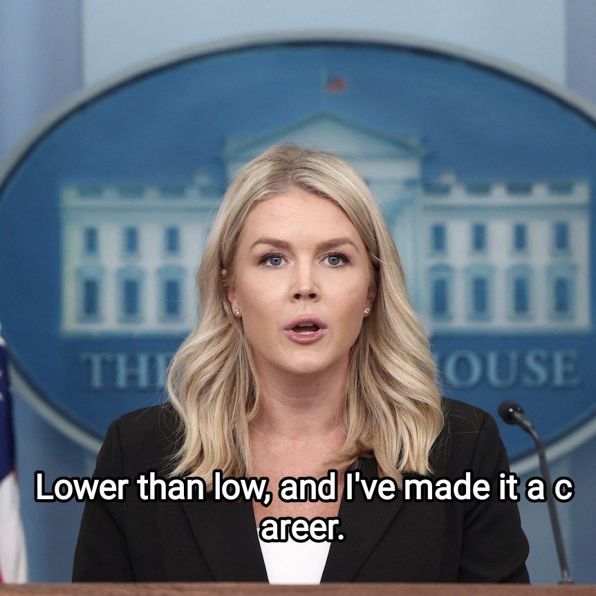 FilPlotnik's tweet image. 