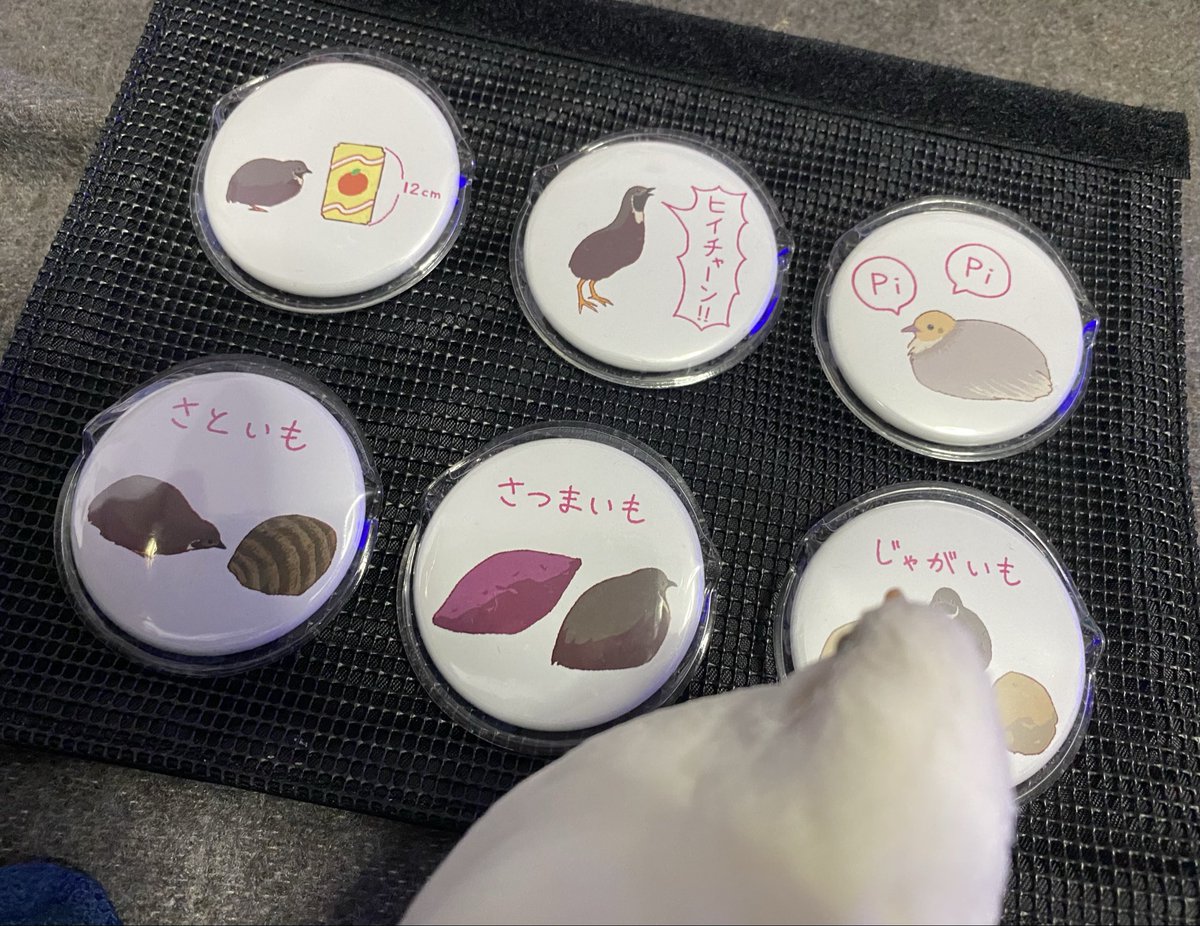 むらぴー🦠 tweet media