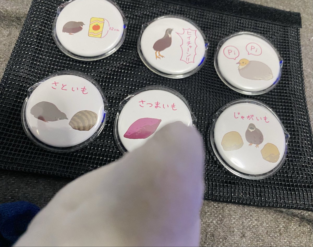 むらぴー🦠 tweet media