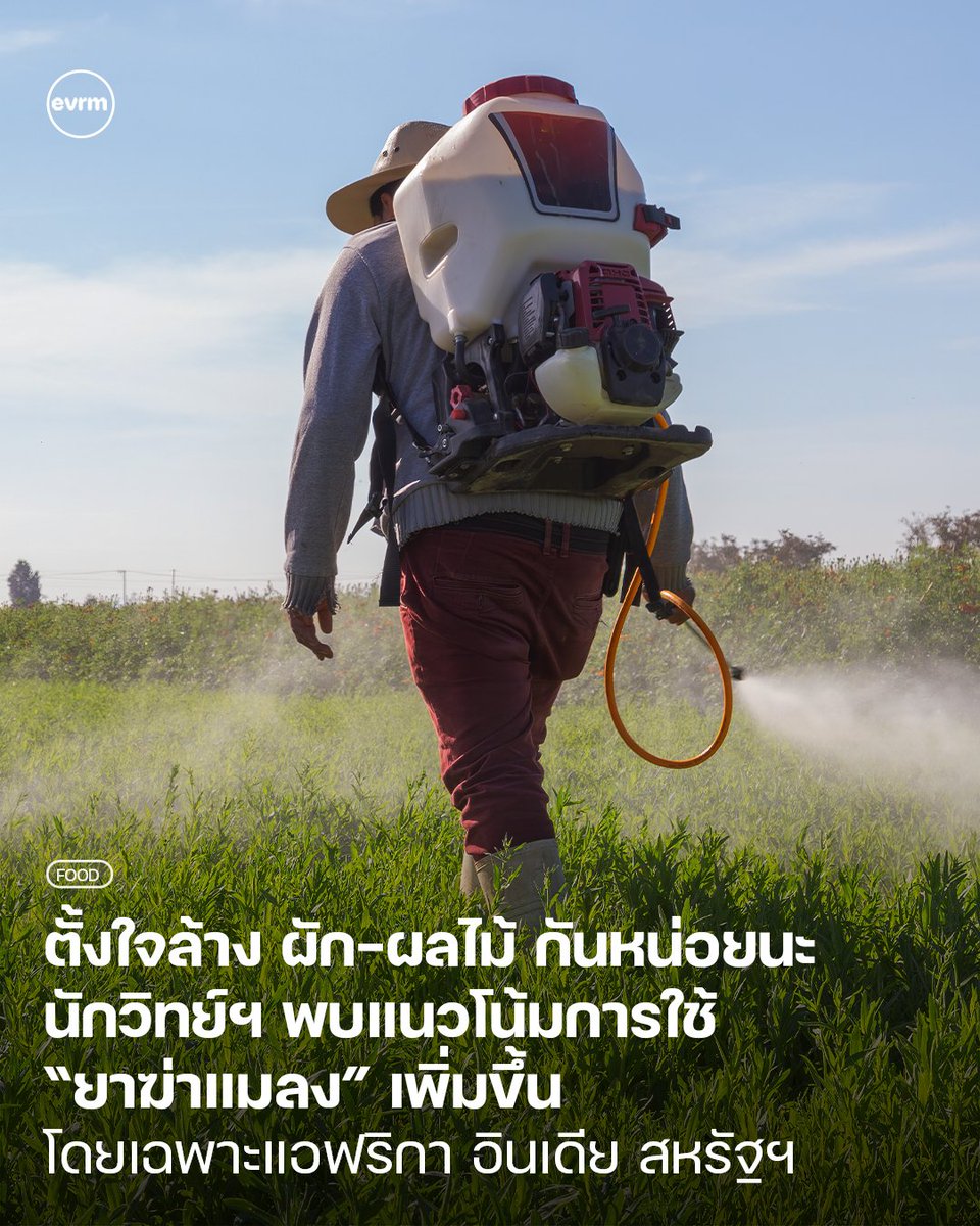 ◉ FOOD: ตั้งใจล้าง ผัก-ผลไม้ กันหน่อยนะ นักวิทย์ฯ พบแนวโน้มการใช้ “ยาฆ่าแมลง” เพิ่มขึ้น โดยเฉพาะแอฟริกา อินเดีย สหรัฐฯ และบราซิล
.
ยาฆ่าแมลงเพิ่มขึ้นในระบบทั่วโลก แมลง ปลา ผู้ผสมเกสร และพืชบกเป็นกลุ่มสิ่งมีชีวิตที่ได้รับผลกระทบมากที่สุด
.
ในปี 2022