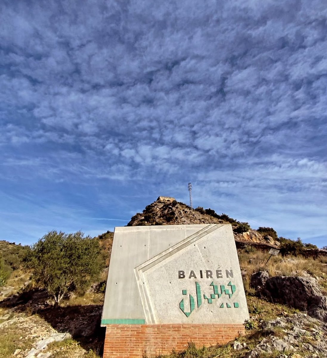 Sanguango 🍊 tweet media