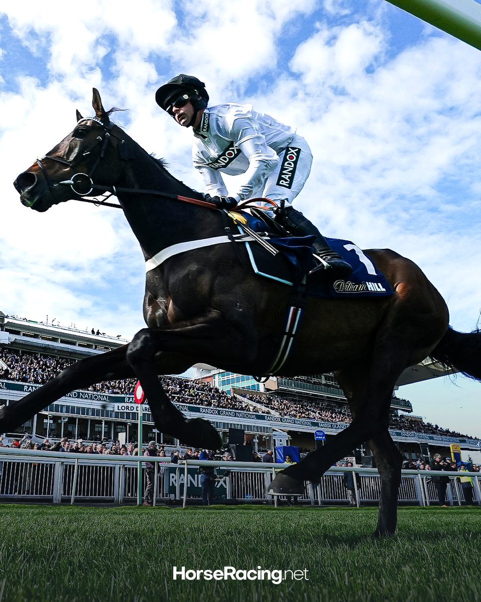 HorseRacing.net tweet media