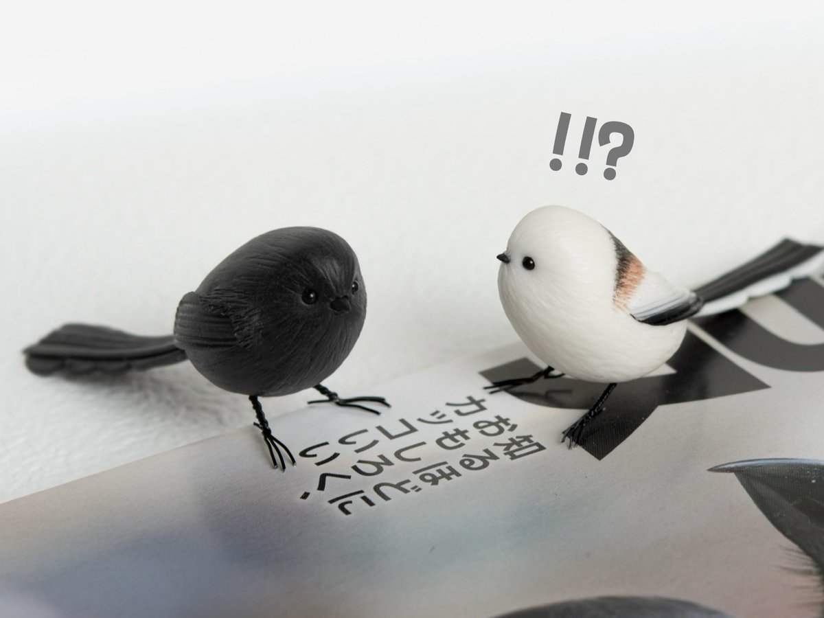 orange.sky シマエナガとその仲間達 (@orangesky_works) / Posts / X