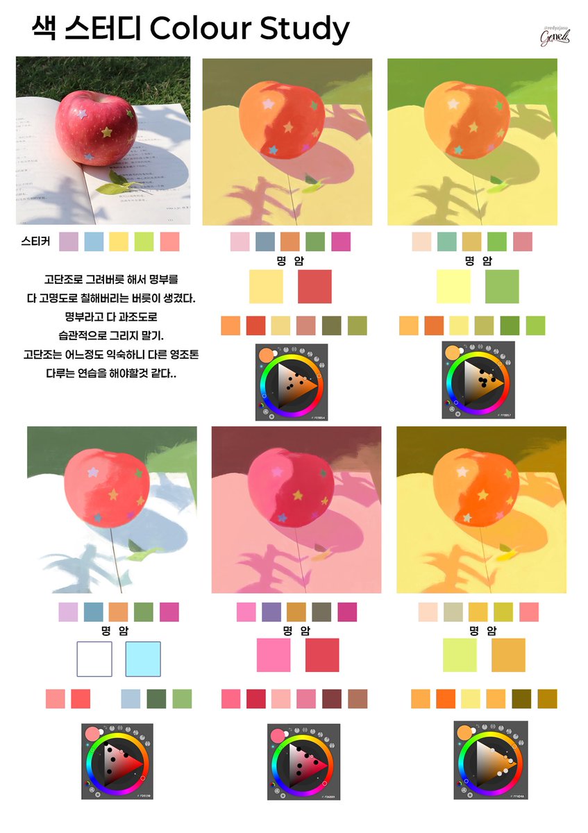 Today's Colour Study🍎🍏🍎🍏