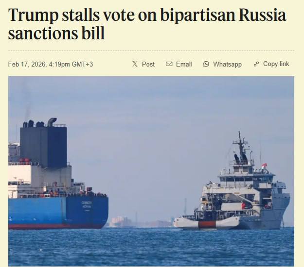 Jay in Kyiv tweet media