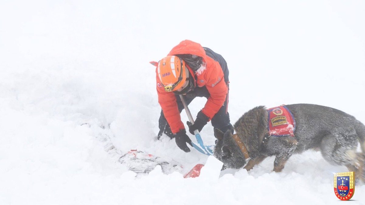 Kastamonu İl Jandarma Komutanlığı emrinde görevli personelimiz ile Afet ve Acil Durum Yönetimi Başkanlığı (AFAD) personeli tarafından, olası afet durumlarında kurumlar arası koordinasyonu güçlendirmek ve müdahale kapasitesini artırmak amacıyla “Çığda Arama ve Kurtarma Tatbikatı”