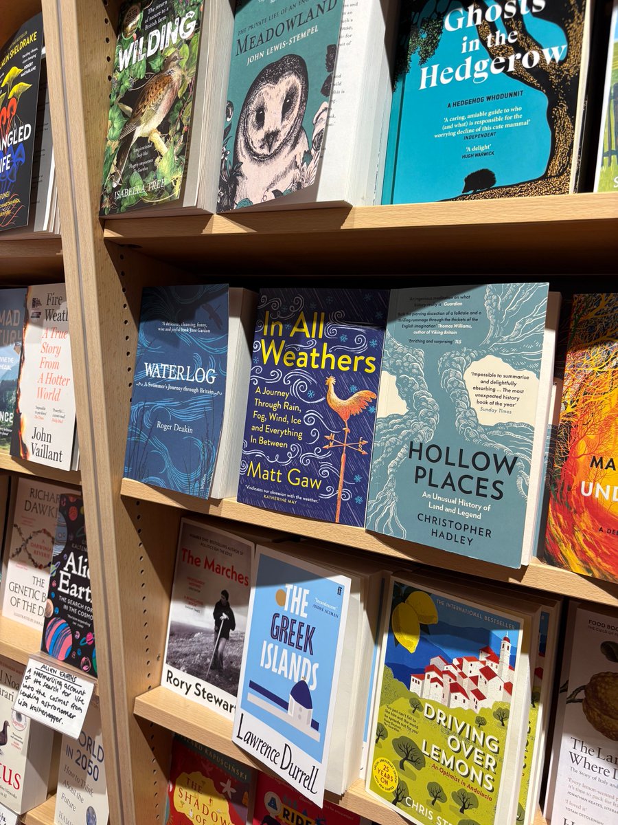 Robert Ashton tweet media