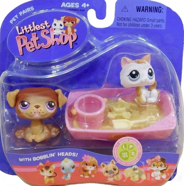 anxinmeow's tweet image. sanghyeon and anxin would come together in a littlest pet shop set