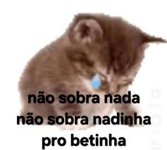 Sync_Aex tweet media