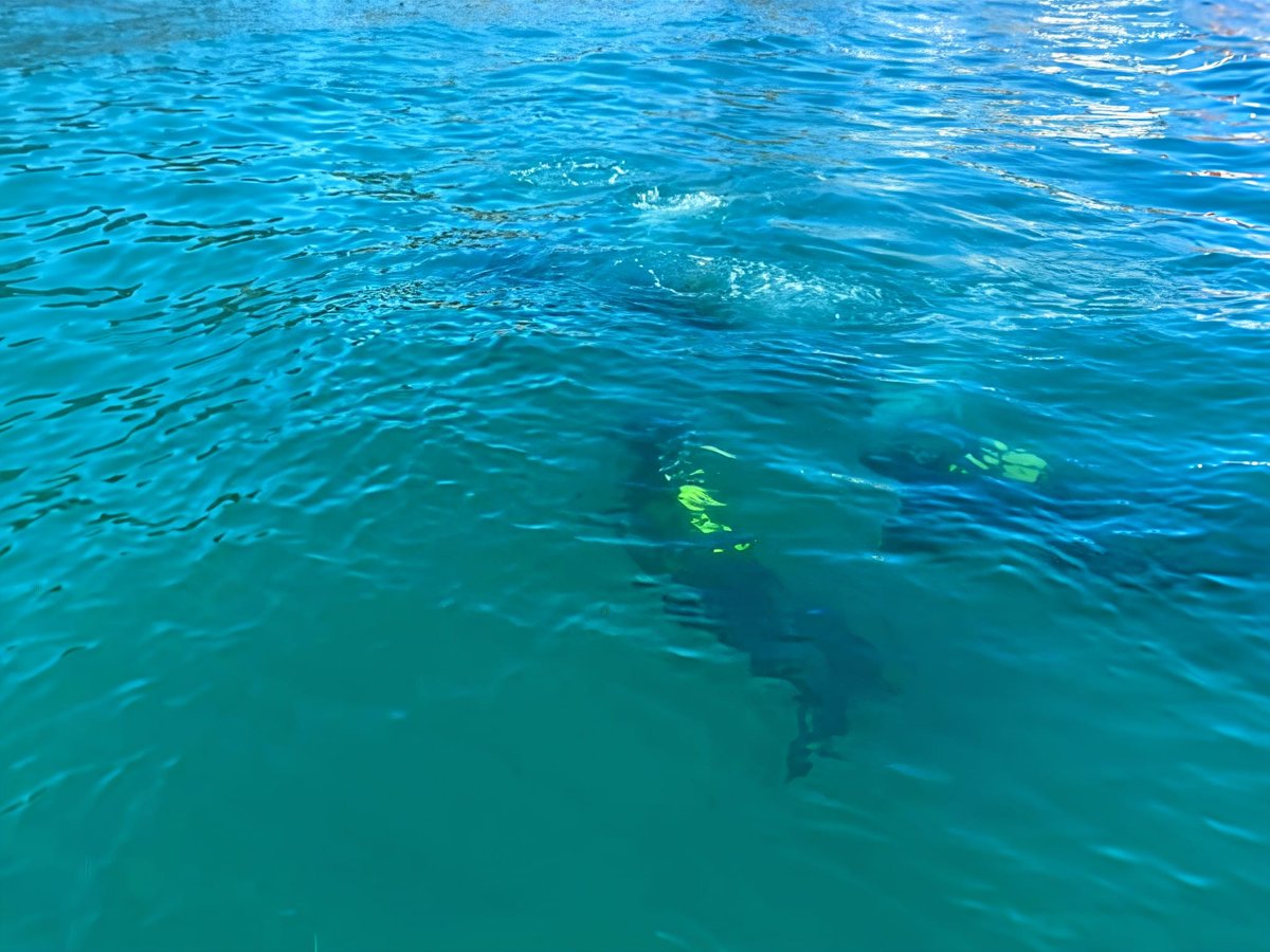 COMGECEU_ET's tweet photo. El Pelotón de Buceo y Navegación del Regimiento de #Ingenieros nº 7 #RING7 perfecciona sus capacidades técnicas de reconocimiento de litoral. Su labor es vital para garantizar la movilidad y asegurar el acceso de la fuerza en cualquier escenario @MCANA_ET 
@EjercitoTierra https://t.co/o5BLtIwK5q